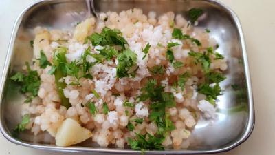 साबुदाणा खिचडीच्या देशात 