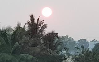 एच. यू. गुगळे प्रोडक्शन्स निर्मित - एक खोड तीन फांद्या